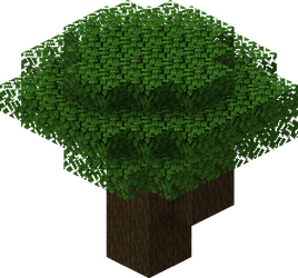  Dark Oak