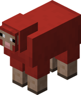 Red Sheep BE