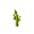Stem Age 6 JE3.png