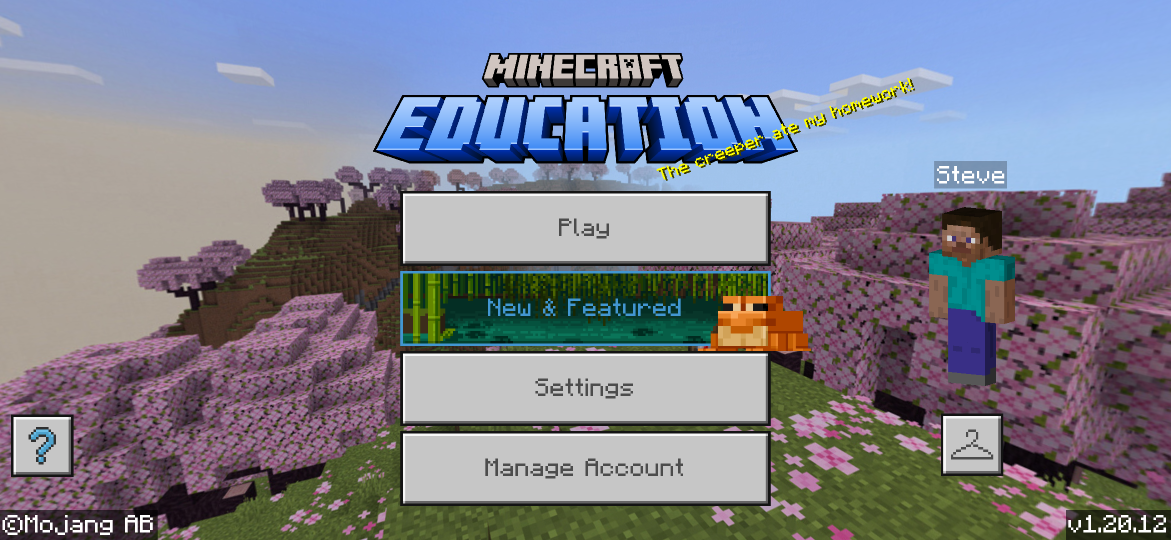 Steve education edition