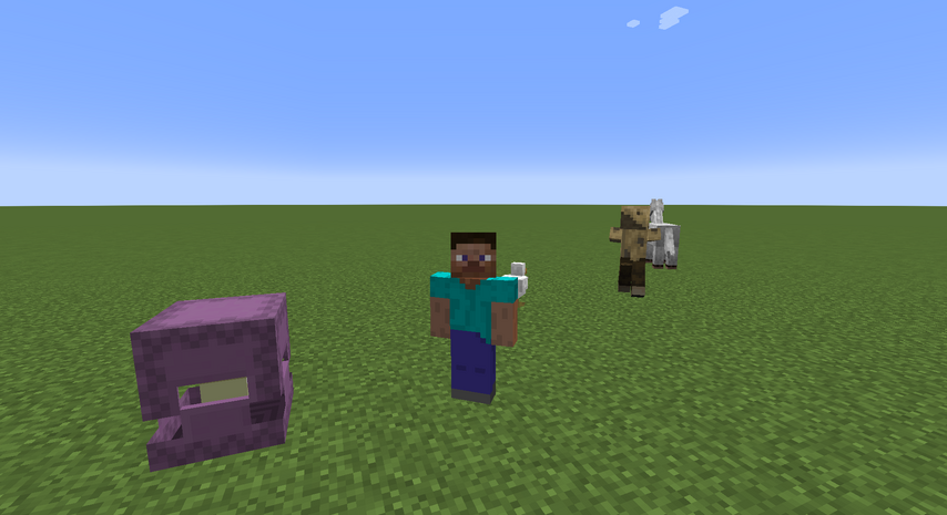 Entity Official Minecraft Wiki Entity Official Minecraft Wiki