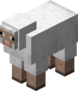 A sheep.