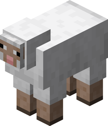 Sheep