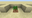 Dark Oak Sapling JE3.png