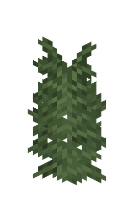 Large Fern