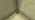 Potted Oak Sapling JE2