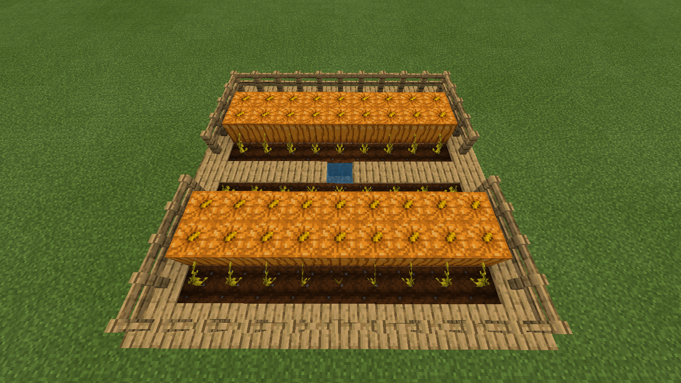 minecraft pumpkin farm layout