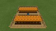 Tutorials Pumpkin And Melon Farming Official Minecraft Wiki