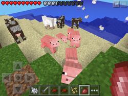 Pig Official Minecraft Wiki