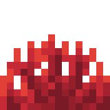 Fire Coral Fan (texture) BE1