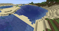 A beach with a lake (technically, a very small ocean biome) in it.