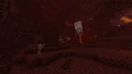 A typical nether wastes biome.
