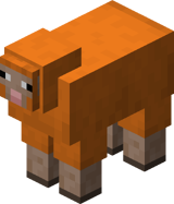Orange Sheep BE