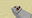 Redstone Comparator (W) JE2.png