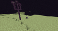 Una flora coral recién plantada junto a un árbol completamente desarrollado con plantas de coro. Enderman para escala.