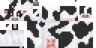 Dairy Cow