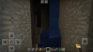 A ravine in bedrock edition.