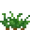 Carrots Age 2 (texture) JE2 BE2.png