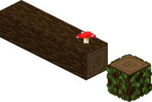 Spruce Fallen Log.png