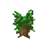 Dark Oak Sapling JE7 BE2