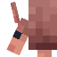 ArmadilloFace