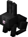 Baby Black Rabbit.png