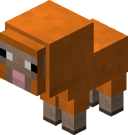 Baby Orange Sheep BE4