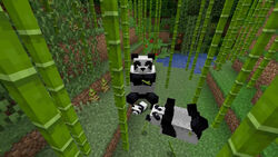 Minecraft Panda - Behavior & Spawning