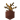 Potted Dead Bush UNKVER2 (facing NWU)