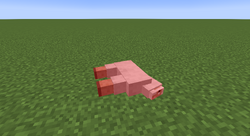 Sheep Death.png