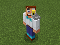 Gray Parrot on Party Steve.png