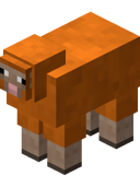 Orange Sheep BE4