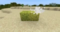 Sponges drying in Bedrock Edition