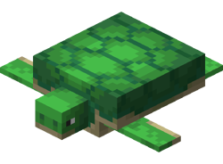 Turtle hatchling