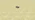 Stone Ceiling Button (N) JE1