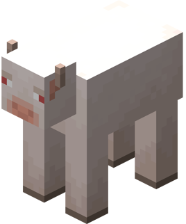 Albino Cow