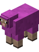 Magenta Sheep BE4