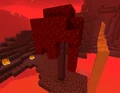 Another huge crimson fungus generated on netherrack.