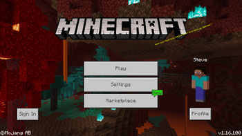 Bedrock 1.16.100