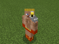 Gray Parrot on Boxer Steve.png