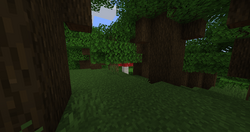 Dark Forest Official Minecraft Wiki