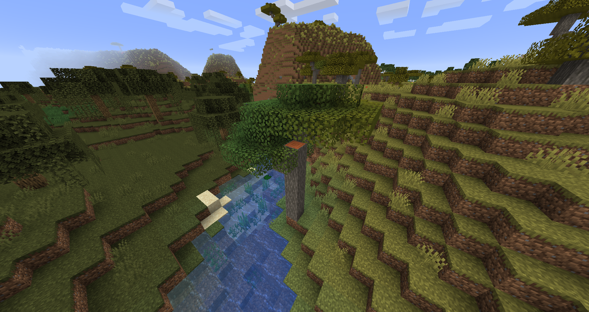 acacia leaves minecraft