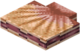 Clam