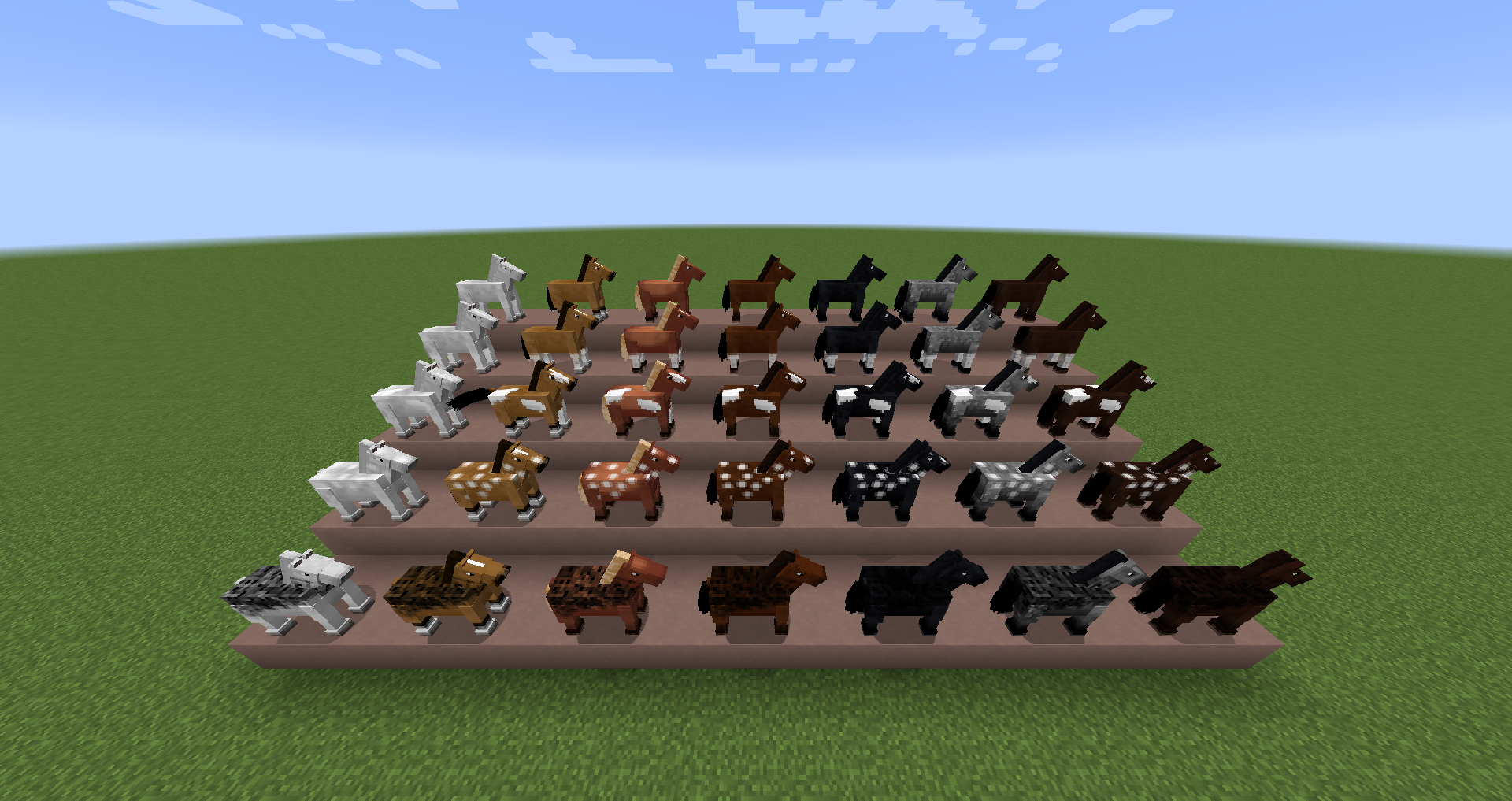 rare horses in minecraft