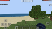 Heads Up Display Official Minecraft Wiki