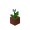 Potted White Tulip.png