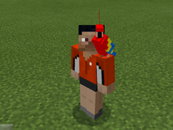 Parrot Official Minecraft Wiki Parrot Official Minecraft Wiki