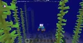 First image of swimming in Bedrock Edition.