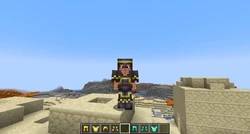 Gold trims on netherite armor.