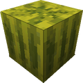 File Melon Je2 Be2 Png Official Minecraft Wiki